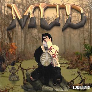 刘涛明星人脸替换脸
