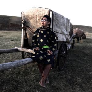 刘涛明星人脸替换脸
