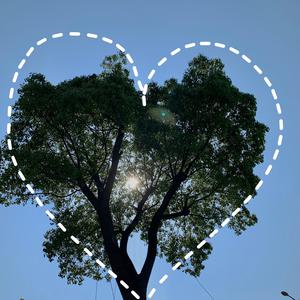 刘涛明星人脸替换脸
